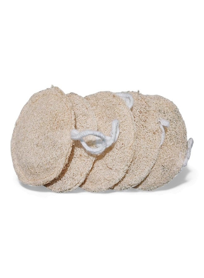 Eco Gree Natural Loofah for Bath & Body Scrub | 100% Plant-Based Exfoliating Sponge for Men & Women | Skin-Friendly, Chemical-Free Luffa | Eco-Friendly & Biodegradable (Round Loofah, Pack of 3) - Image 3