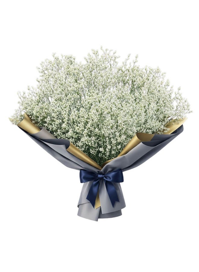 Limonium , White 70cm - 10 Stems, Kenya