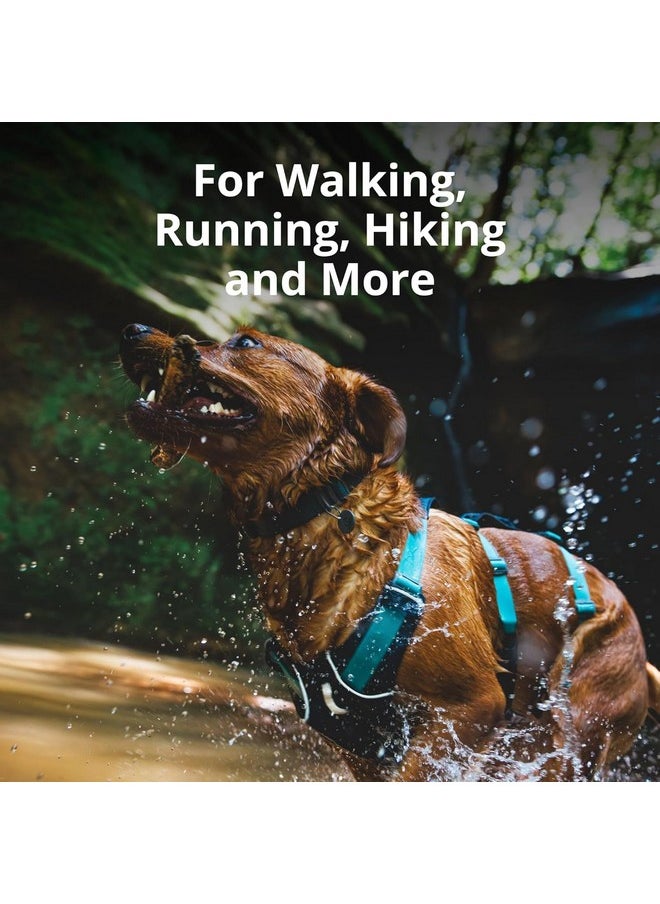 RUFFWEAR Ruffwear, Flagline Dog Harness, Lightweight and Reflective, No Pull Dog Lift Harness for Hiking, Running and Everyday Use, Sage Green, X-Small  - Image 3