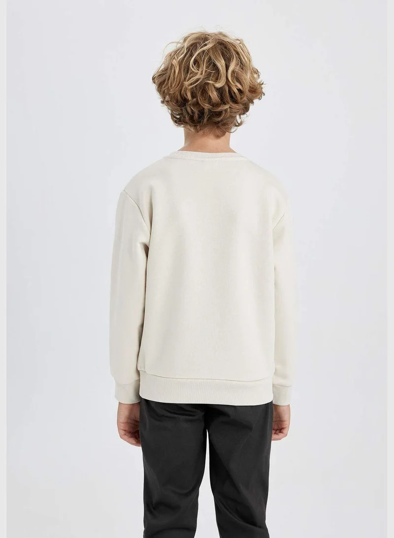 DeFacto Boy Crew Neck Long Sleeve Knitted Sweatshirt
