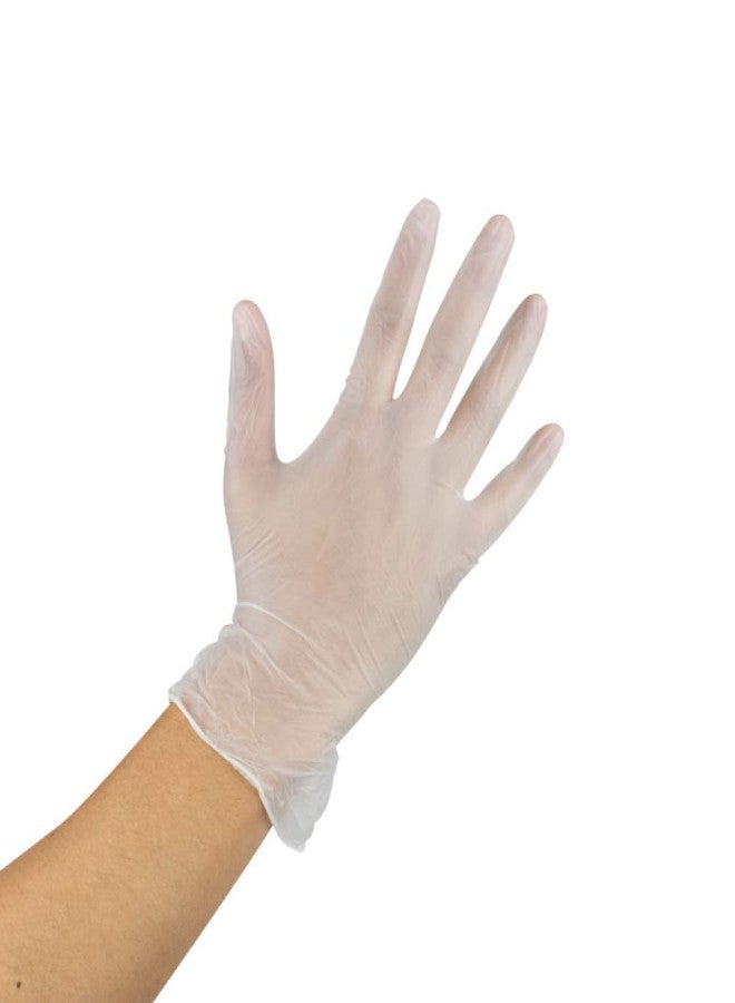 Sunset XL SmoothTouch Disposable Vinyl Gloves - Powder Free - 100 Per-Box X-Large Gloves - Image 3