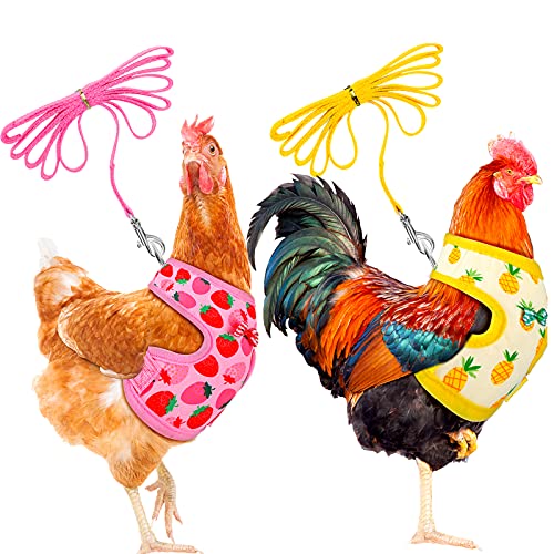 Frienda 2 Pcs Adjustable Chicken Harness and Leash Set Spring Summer Comfortable Elastic Hen Vest Breathable Harness for Hens Duck Goose Pet Training Walking Supplies(Pineapple, Strawberry,Medium) - Image 1