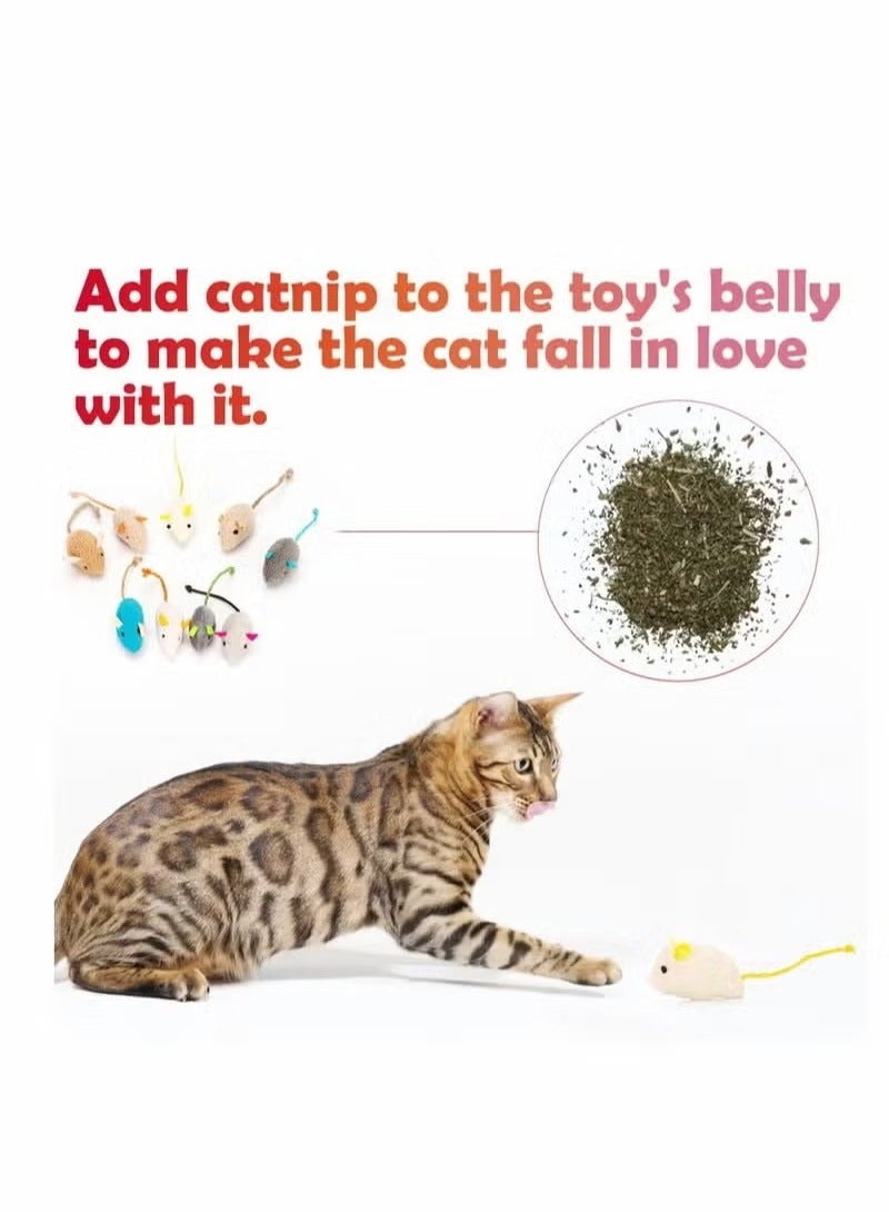 Catnip Toys for Cat, 9 Pcs Interactive Cat Toy Pet Teeth Cleaning Soft Plush Realistic Cute Mouse Colorful Chew Toys with String Tails Indoor Cats Play Bite, Random style  - Image 2