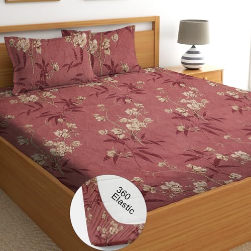 STARNSTYLE 100% Cotton Super Soft 240 Thread Count Elastic Fitted All Around Elastic Printed King Size Double Bed Bedsheet with 2 Pillow Cover 72" X 78" - Image 1