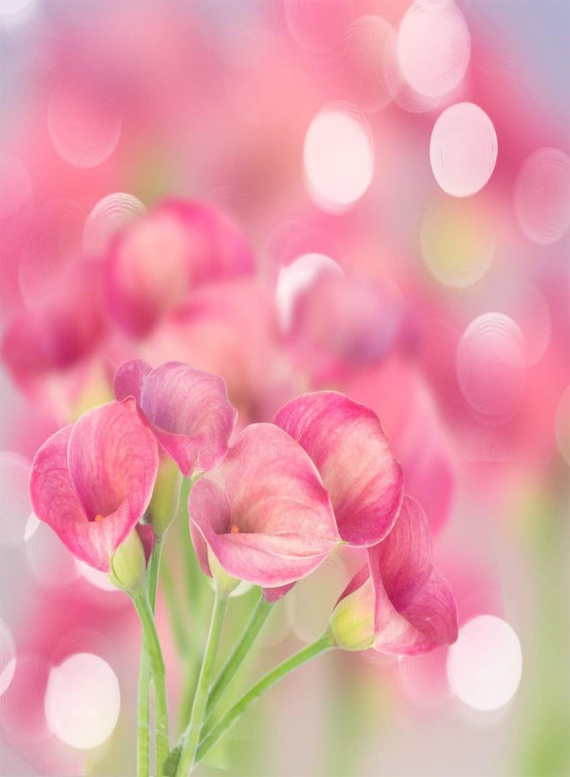 GGOOT 3pcs Unieke Calla Lelie Bollen Ingemaakte Calla Bollen Heirloom Bloembollen Rijke Geur Trekken Vlinders Prachtige Tuin Landschap - Image 3