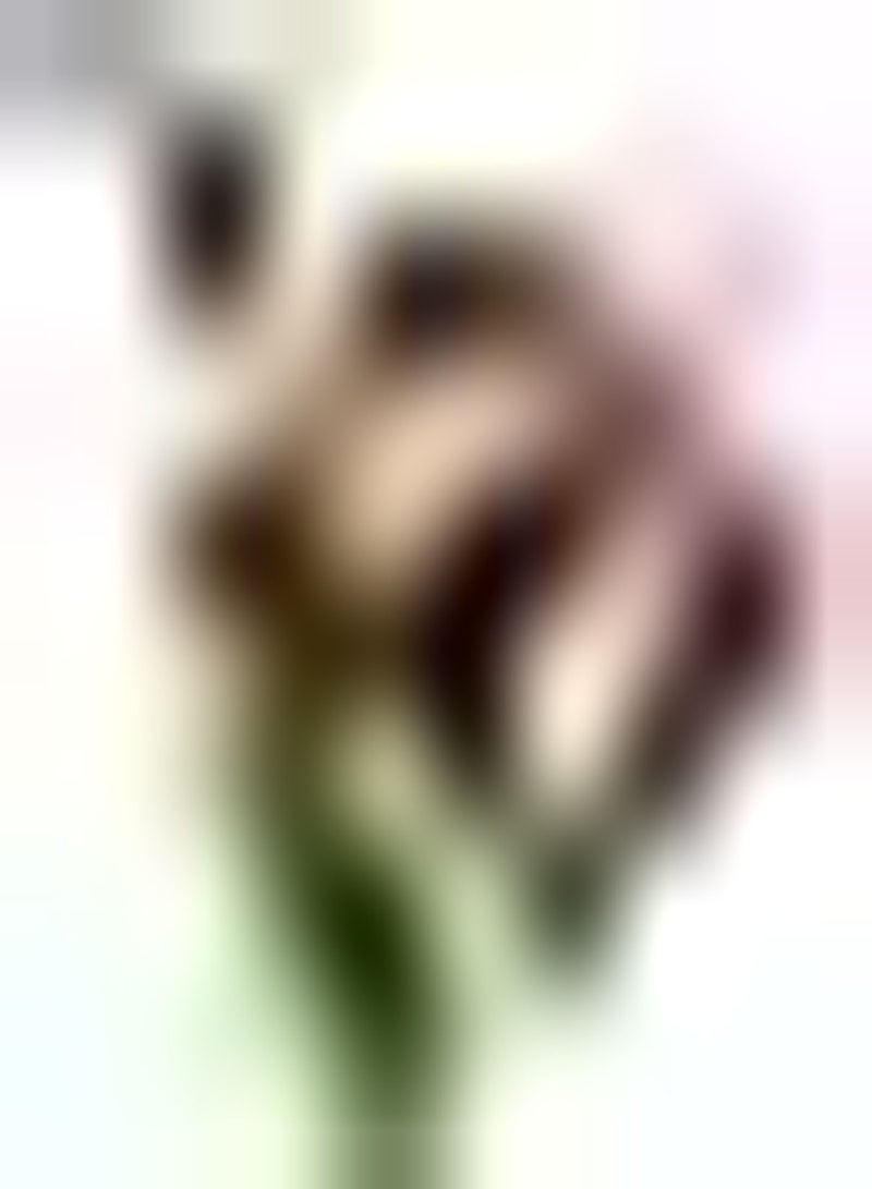 GGOOT 3pcs Unieke Calla Lelie Bollen Ingemaakte Calla Bollen Heirloom Bloembollen Rijke Geur Trekken Vlinders Prachtige Tuin Landschap - Image 1