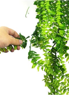 Arabest 78cm Artificial Fern Persian Grass Rattan Simulation Greenery Persian Wall Hanging Vine Decorative Plant Wall For Home and Office Indoor and Outdoor Garden Bookshelf  - Image 3