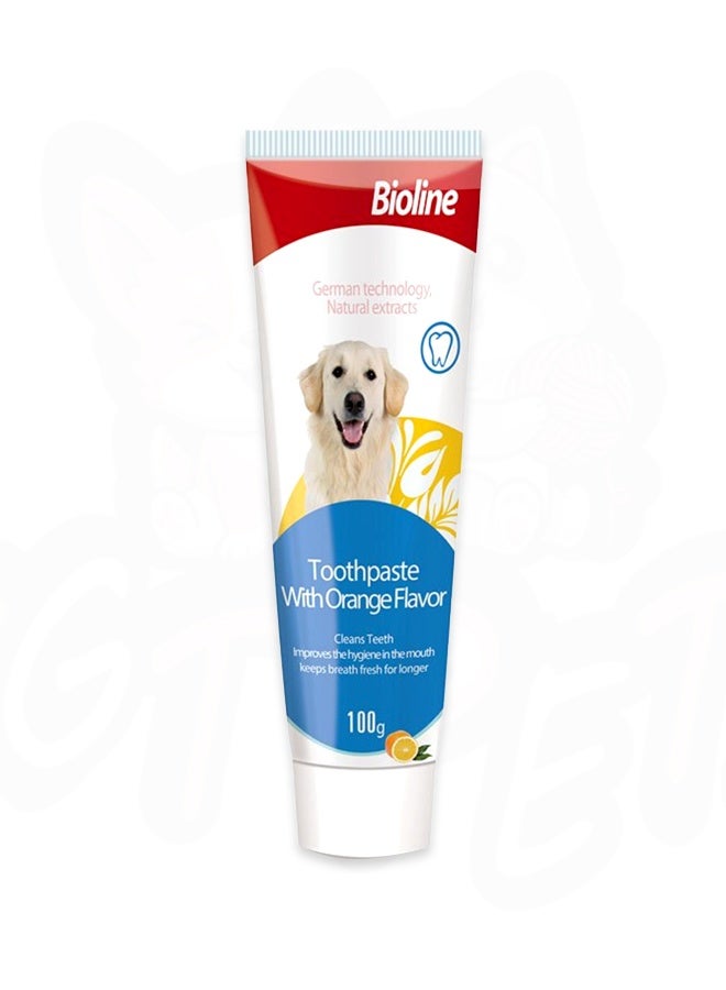 Tooth Paste Orange Flavor For Dog - 100g