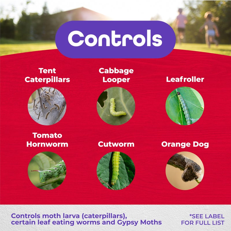 Bonide Thuricide BT Concentrate, 16 oz Ready-to-Mix Solution for Caterpillar, Worm and Moth Control in Home Garden - Image 3