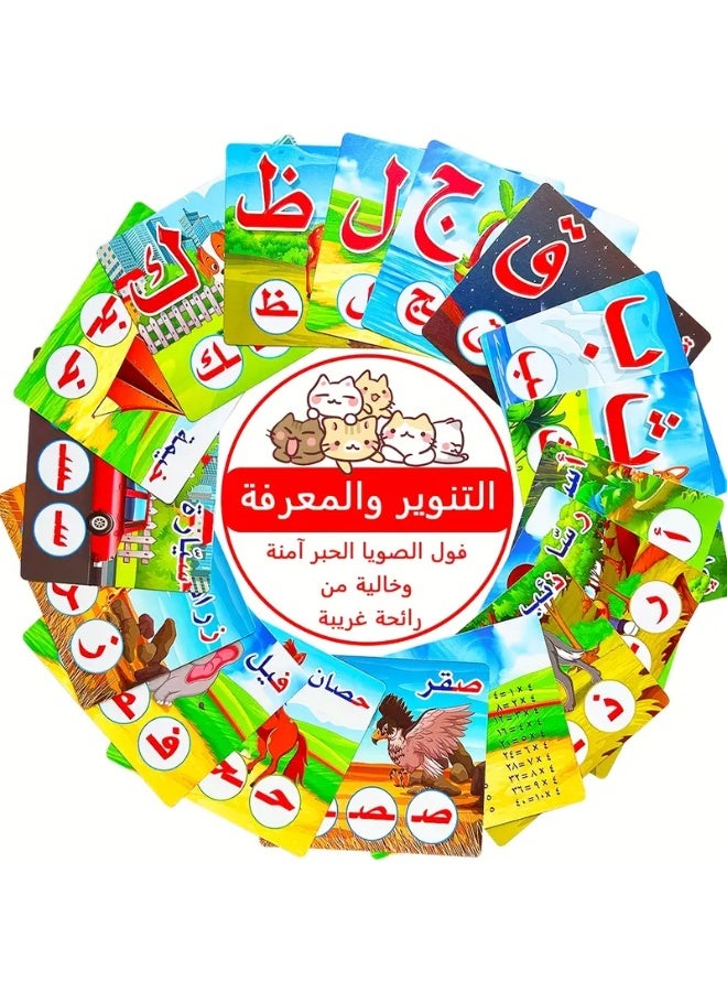 علبة واحدة تحتوي على 28 بطاقة تعليم حروف اللغة العربية للتعلم المبكر - Image 5