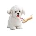 CU-MATE CUMATE Plush Interactive Maltese Simulation DogRealistic Puppy Electronic Toy Dog with WalkingBarkingWagging TailTalkingLike Real Robotic Present - Image 2