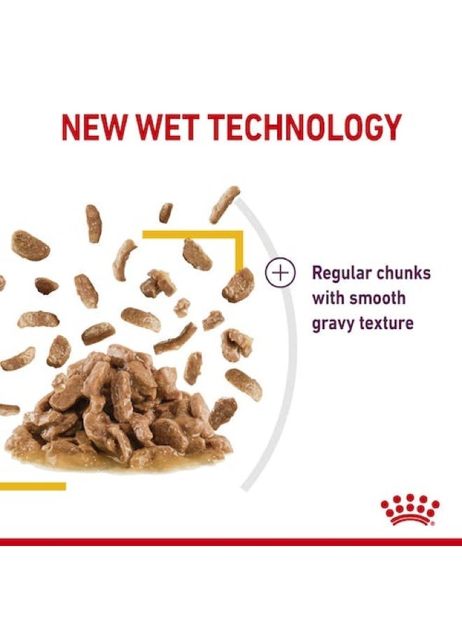 ROYAL CANIN Feline Health Nutrition Sensory Taste Gravy (WET FOOD - POUCHES) 12x85G - Image 3
