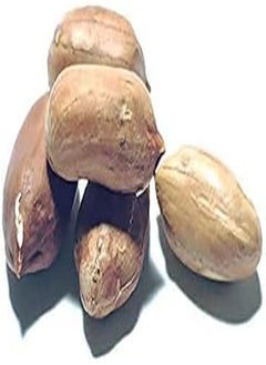 Big Peanut (Arachis hypogaea) Seeds Non-GMO,Organic,Farm,Showy,Recipe,Huge Yields,Dishes,Sacred,Package of 50PCS Seeds