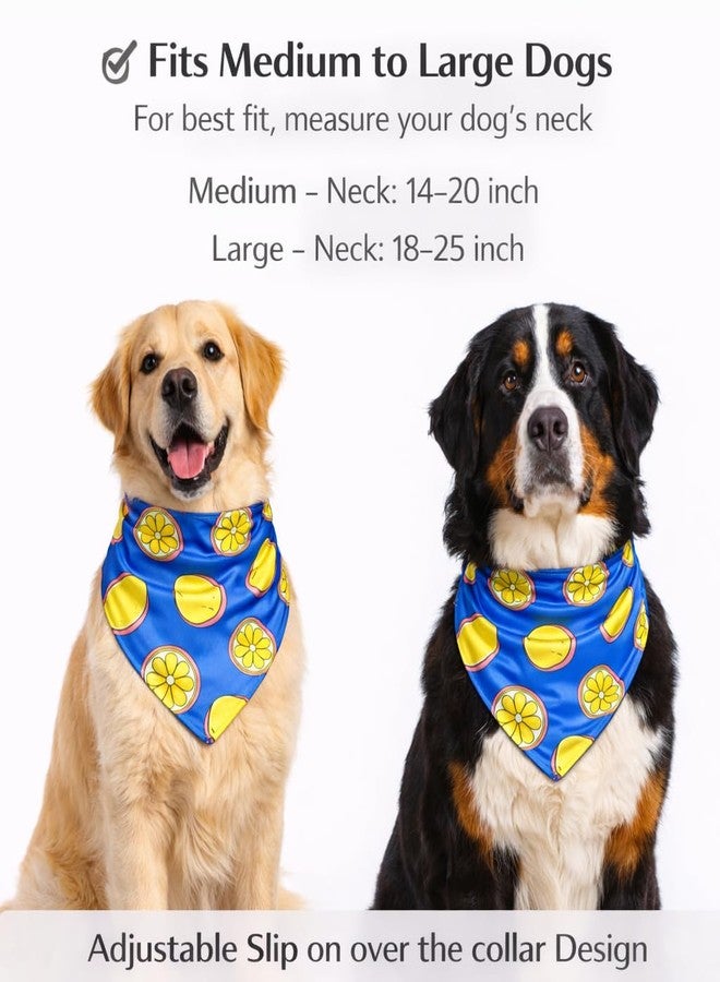 W Offers an Ultra Premium Satin Dog Collar Bandana, an Ideal Accessory for Medium and Large Dogs. It Includes a Slip-on Bandana and an Adjustable Collar with a D-Ring. (M, Lemons) - Image 3