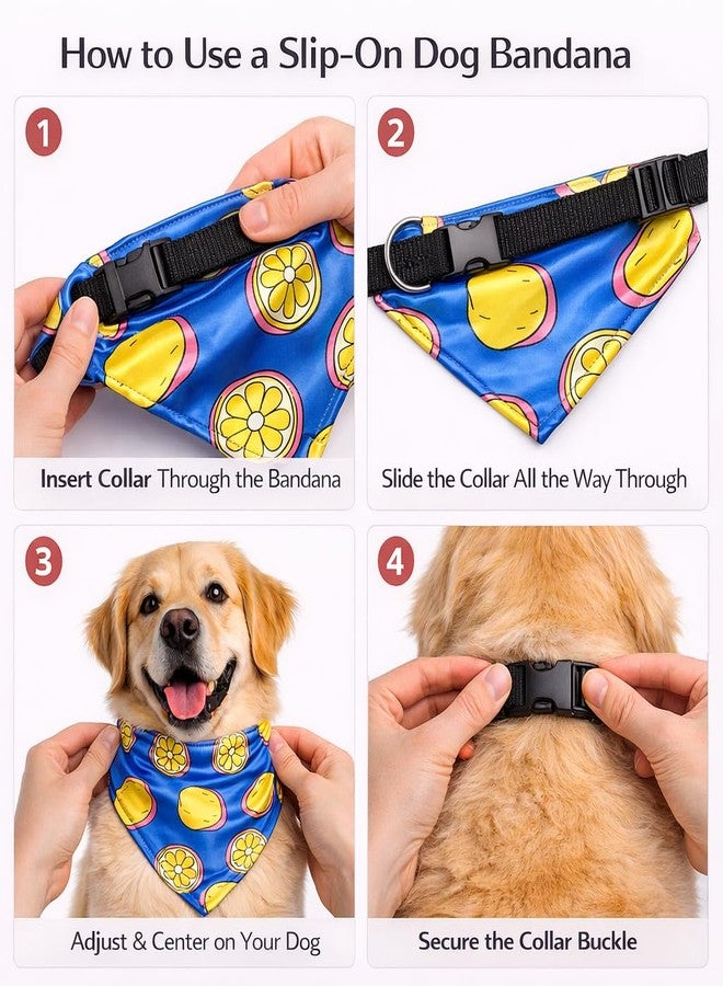 W Offers an Ultra Premium Satin Dog Collar Bandana, an Ideal Accessory for Medium and Large Dogs. It Includes a Slip-on Bandana and an Adjustable Collar with a D-Ring. (M, Lemons) - Image 4