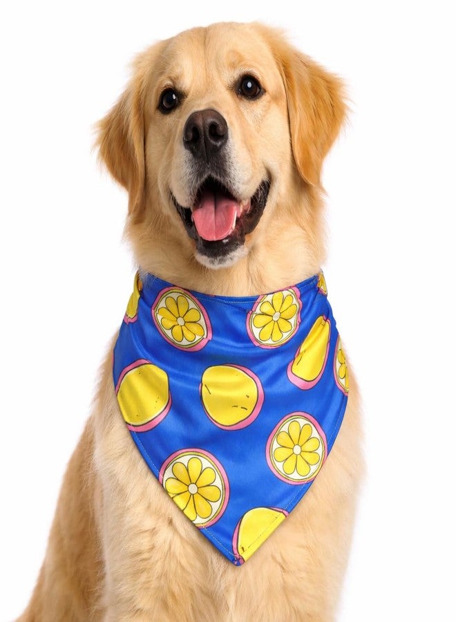 W Offers an Ultra Premium Satin Dog Collar Bandana, an Ideal Accessory for Medium and Large Dogs. It Includes a Slip-on Bandana and an Adjustable Collar with a D-Ring. (M, Lemons) - Image 1
