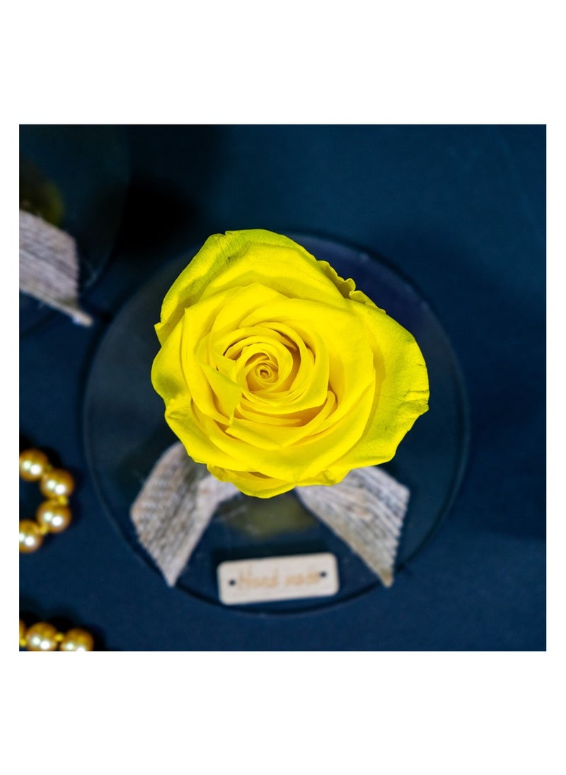 3 Pcs Infinity Rose in Circle Acrylic