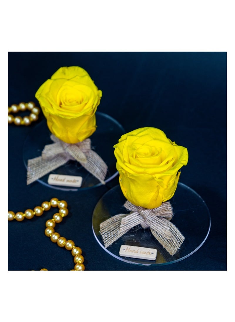 3 Pcs Infinity Rose in Circle Acrylic