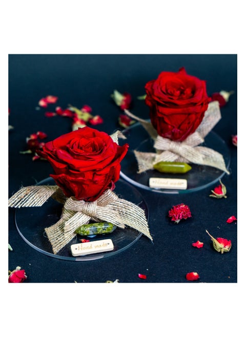 3 Pcs Infinity Rose in Circle Acrylic