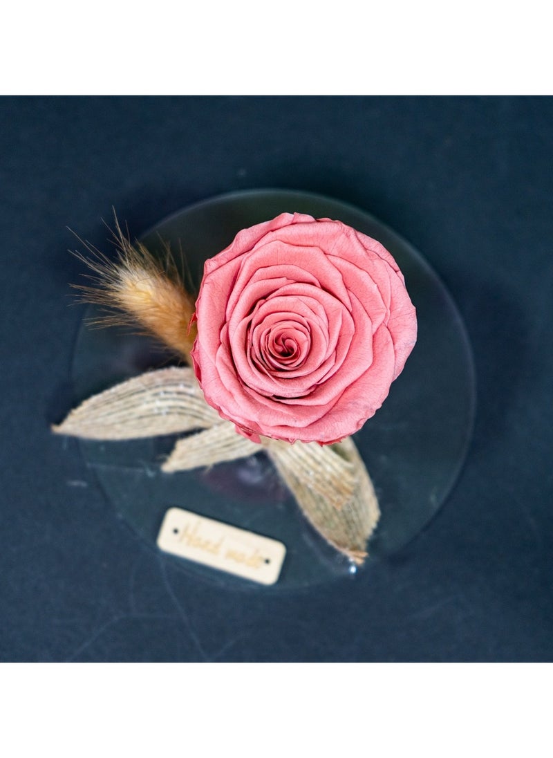 3 Pcs Infinity Rose in Circle Acrylic