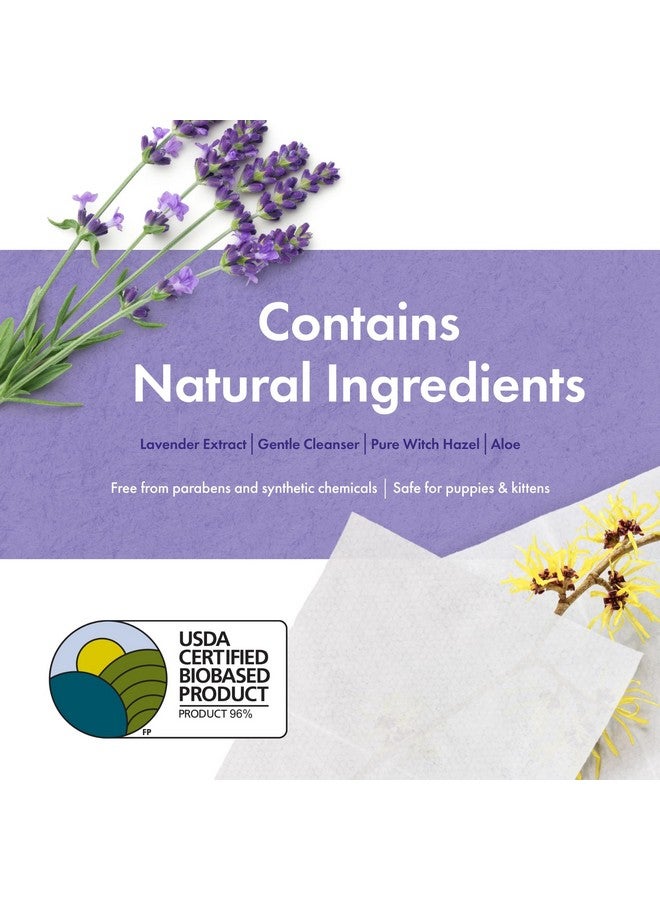 بيتكين مناديل أذن بيتكين النباتية، 80 منديل، عبوة من قطعتين - مناديل أذن مستدامة وقائمة على مواد حيوية للحيوانات الأليفة للكلاب والقطط - تنظف منطقة الأذن والأوساخ والروائح والشمع - تنظف وترطب بوعي - سهلة الاستخدام - برائحة اللافندر - Image 5