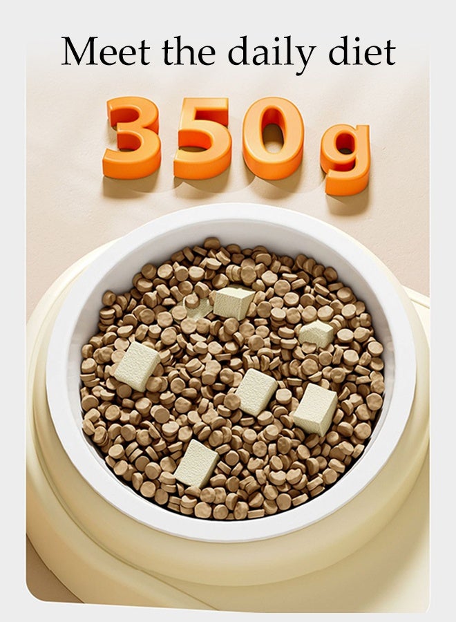 DUNISO 2 in 1 Cat Bowl for Food and Water, Feeder Bowl with 16° Tilt,for Pet,Food Wet and dry separation,Stainless Steel Pet Bowl and Auto Gravity Pet Water Dispenser - Image 3