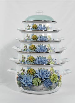 Blue and Green Succulent