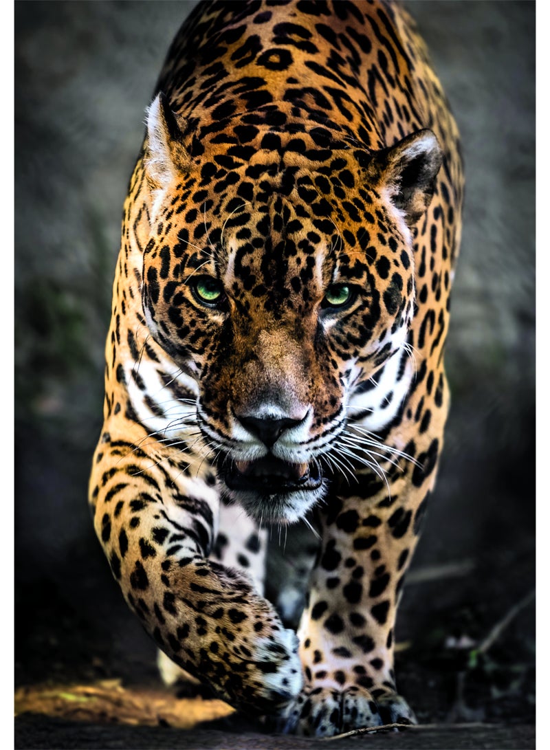 Clementoni Puzzle HQC Walk of the Jaguar + Poster 1000-Pieces | Jigsaw Puzzle | Puzzle for Adults | Challenging Puzzle | Perfect for Stress Reliever and Puzzle Lovers | Made in Italy - Image 3