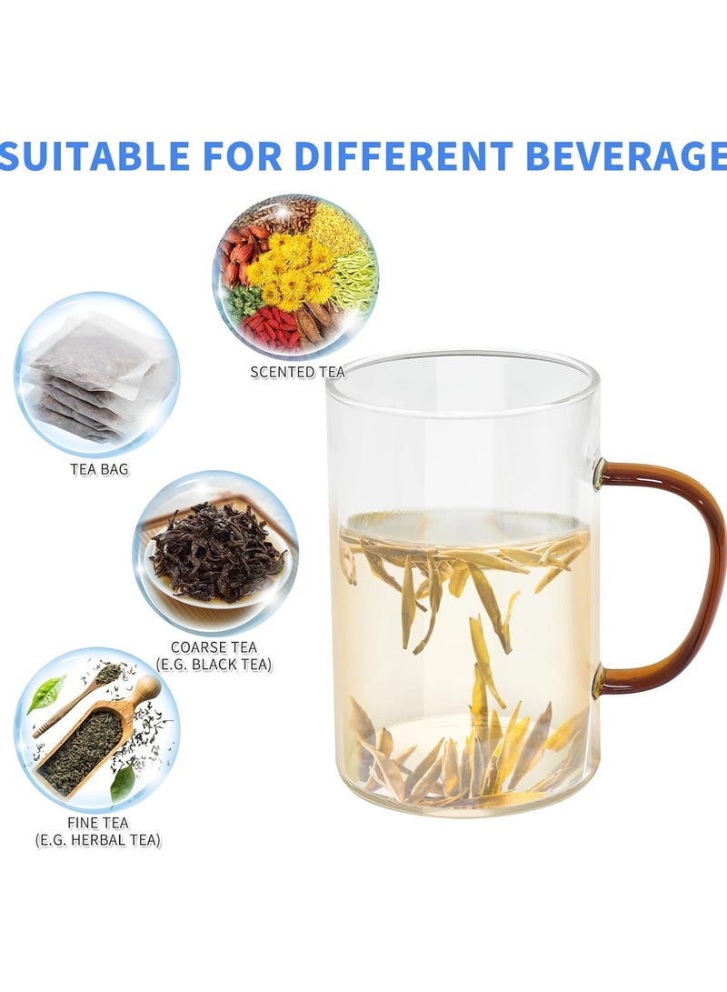 HOME ZONE 16.9 Oz Borosilicate Glass Tea Mug Cup Tea Glasses with Stainless Steel Infuser & Lid Loose Leaf Glass Tea Cup 500mL - Image 5
