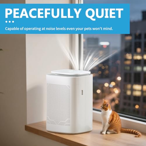 Hyintell Dehumidifier and Air Purifier Combo HEPA H13 Filter and Negative Air Ion Function,54oz(1600ML) Water Tank with Drain Hose,24hrs Auto-Off Timer,Idea for Bedroom,Bathroom(W) - Image 4