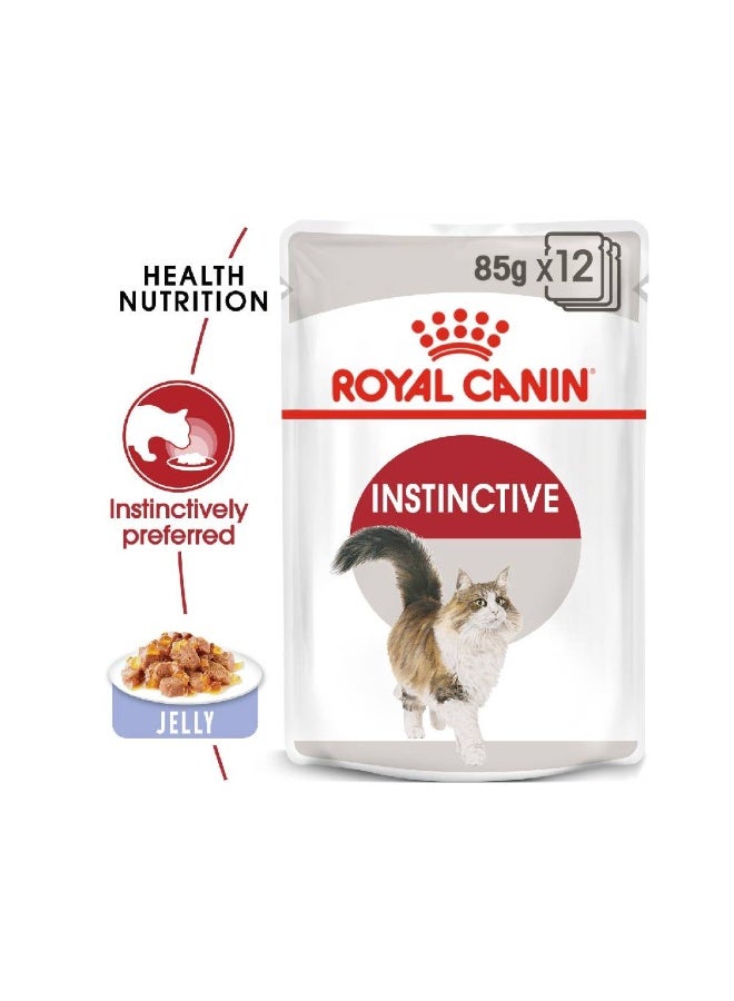 ROYAL CANIN Feline Health Nutrition Instinctive Adult Cats Jelly (Wet Food - Pouches) 12 x 85 g - Pack of 12