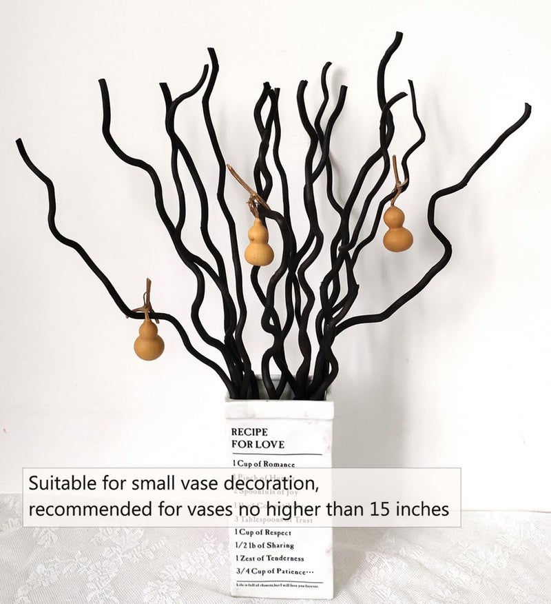 DongArts Dried Curly Willow Branches, 21-23 Inch Natural Dried Branch Twigs Decorative Wood Sticks for DIY Crafts, Vases Wedding Home DÃ©cor, Elegant Black - Image 2