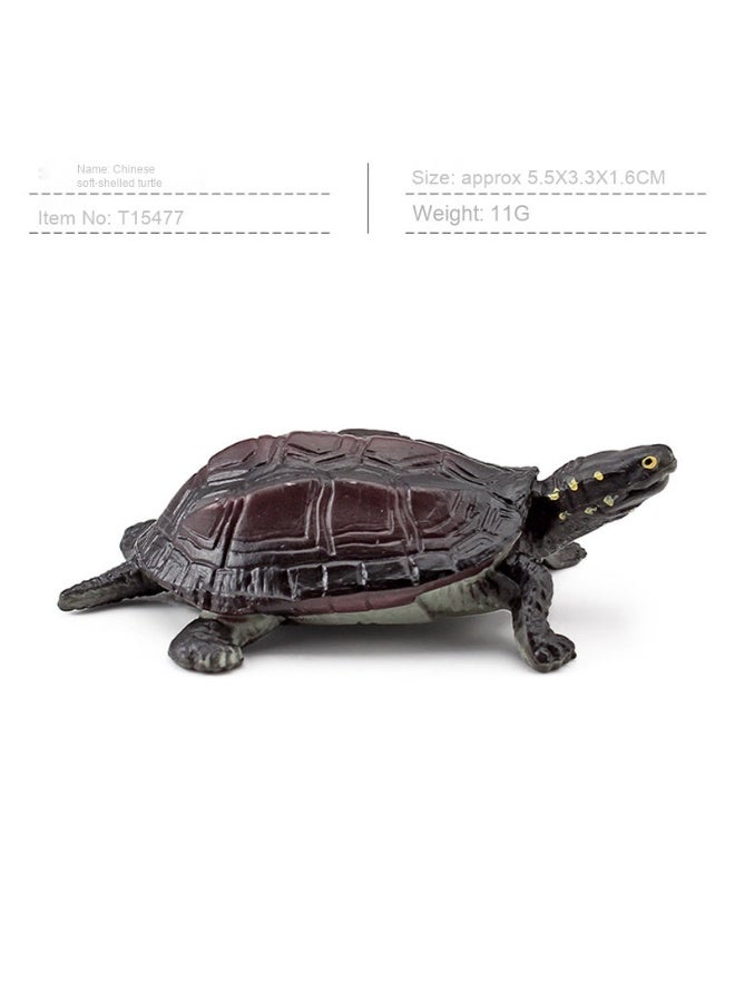 NIBEMINENT Realistic Amphibious Reptile Turtle Model