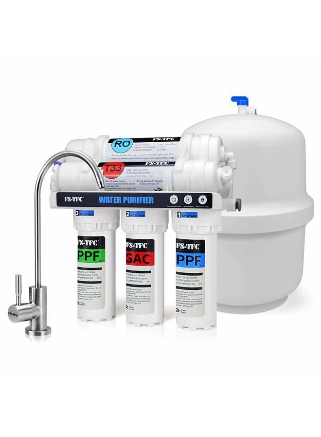 FS-TFC Reverse Osmosis Water Filtration System Under Sink Water Filter 5-Stage 100 GPD Plus Extra Set of 4 Filters Free (FS-RO-100G-A) - Image 1