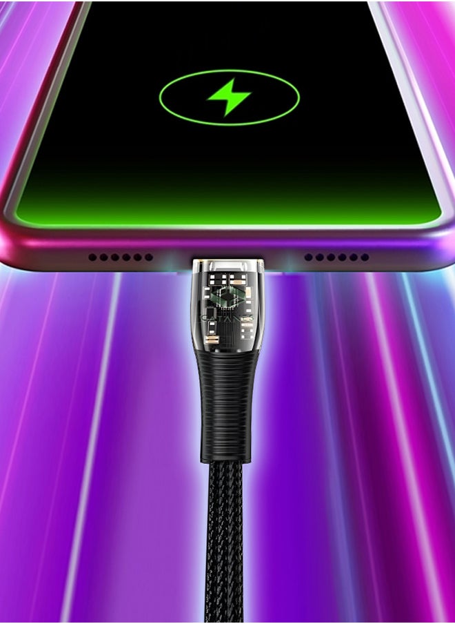 CATANES - USB Type C to Lightning Cable Fast Charging Cable Transparent Adapter Fast Charging Cable Black 1M - Image 1
