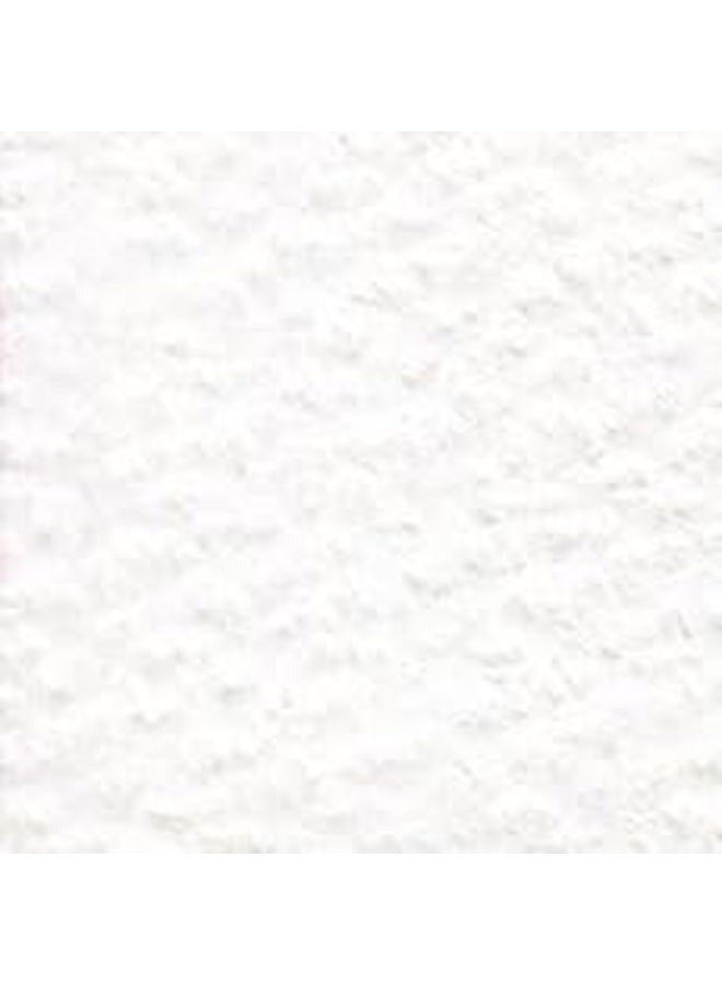 Holbein Artists' Colored Pencil - White, OP500 - Image 2