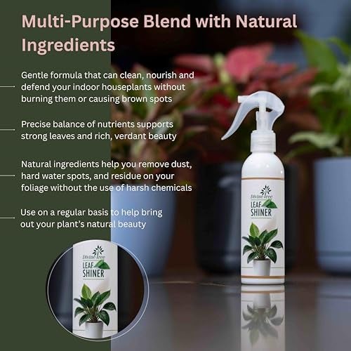 DIVINE TREE Leaf Shiner Spray for Indoor & Outdoor Plants 200ml | Natural Leaf Shine & Cleaner | Ready-to-Use Non-Toxic, Eco-Friendly Foliar Formula for Glossy Green Leaves & Healthy Plant Care - Image 5