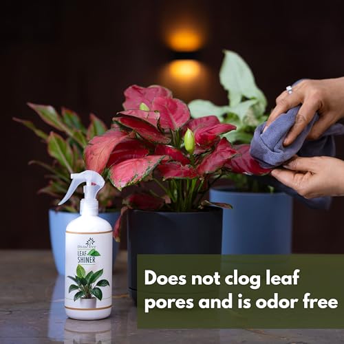DIVINE TREE Leaf Shiner Spray for Indoor & Outdoor Plants 200ml | Natural Leaf Shine & Cleaner | Ready-to-Use Non-Toxic, Eco-Friendly Foliar Formula for Glossy Green Leaves & Healthy Plant Care - Image 3