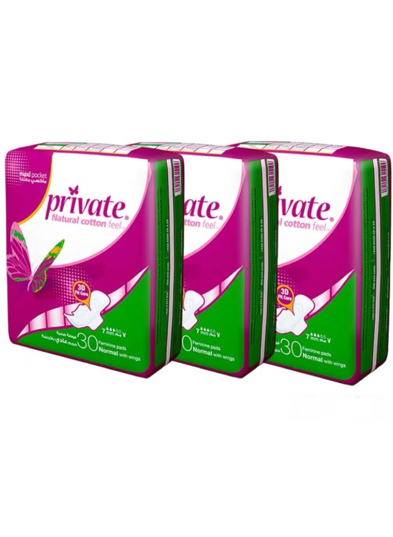 Private Women's Sanitary Napkin Maxi Pocket, Casual - 30 Pieces (Three Pieces)