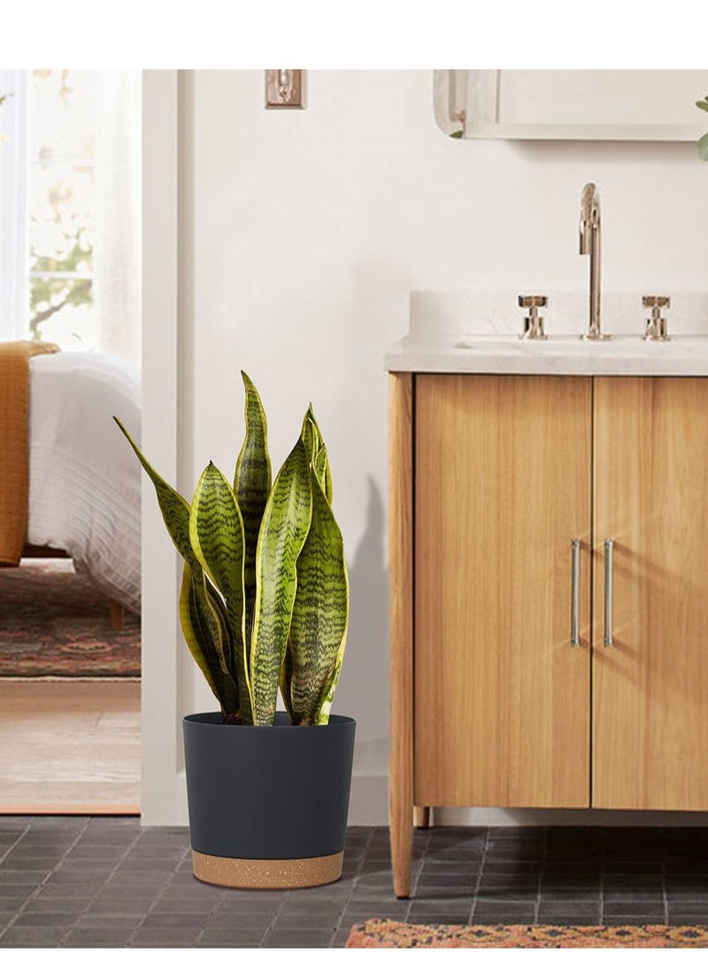 SYOSI Plastic Flowerpot, 7.8 Inch Indoor Plant Pots Round Straight Anthony Flower Pot with Hole and Tray Modern Decorative for Outdoor Garden Home, Balcony Courtyard Potted (Set of 2, Black) - Image 4