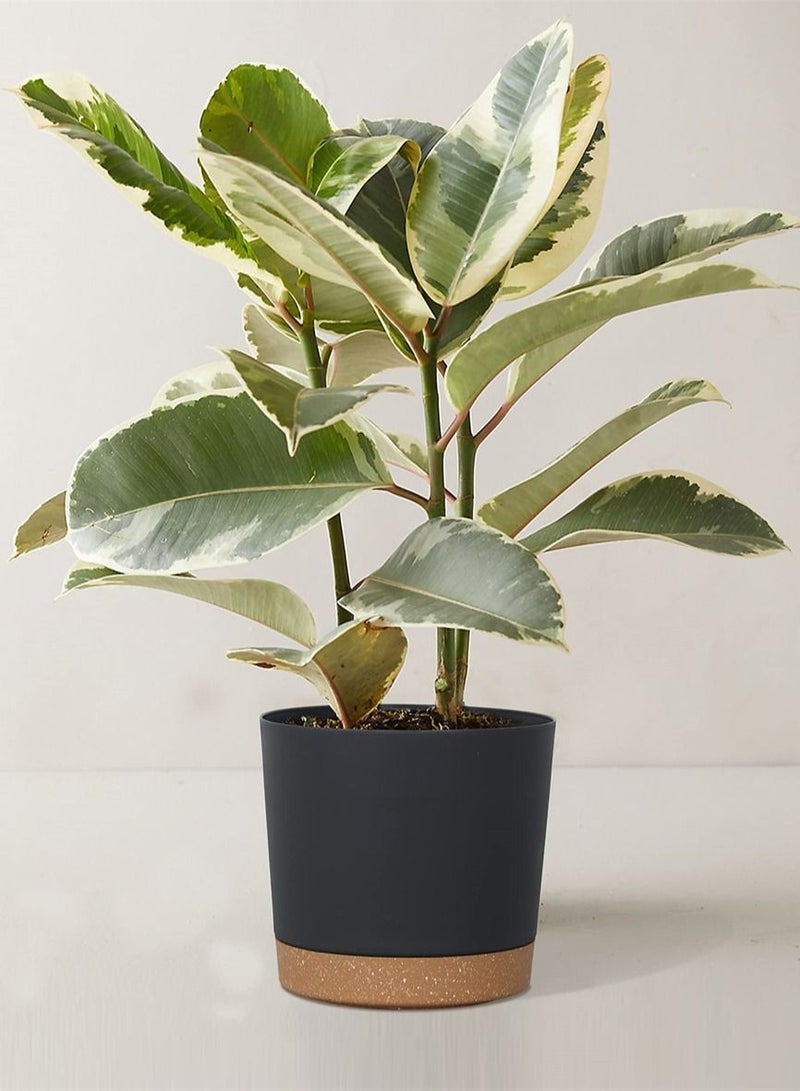 SYOSI Plastic Flowerpot, 7.8 Inch Indoor Plant Pots Round Straight Anthony Flower Pot with Hole and Tray Modern Decorative for Outdoor Garden Home, Balcony Courtyard Potted (Set of 2, Black) - Image 5