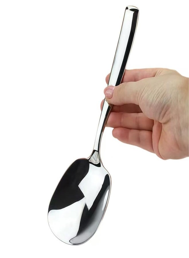 ZDFQly Large Serving Spoon, Premium 316L Stainless Steel Buffet Serving Spoon 9.5 Inch (1pack) - Image 1