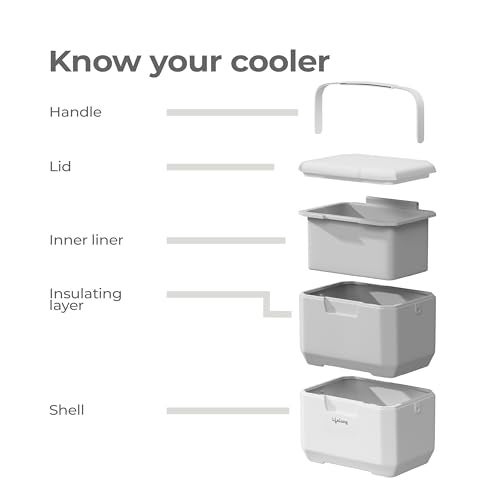 Lifelong 6L Insulated Chiller Ice Box | Standard Size Cooler for Travel, Parties, Bar, Medical Use | Keeps Ice Cubes & Drinks Cold for 12–18 Hours | PU Foam Insulated, BPA-Free - Image 2
