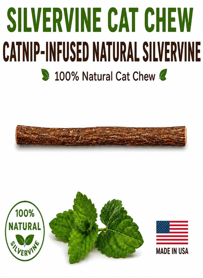 Silvervine Sticks for Cats with Catnip Oil (4 Pack) - Matatabi Cat Chew Stick Dental Toy for Teeth Cleaning - Natural Kitten Teething Chew Toys for Indoor Cats - Made in USA - Image 2