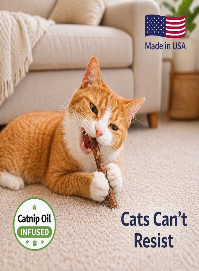Silvervine Sticks for Cats with Catnip Oil (4 Pack) - Matatabi Cat Chew Stick Dental Toy for Teeth Cleaning - Natural Kitten Teething Chew Toys for Indoor Cats - Made in USA - Image 5