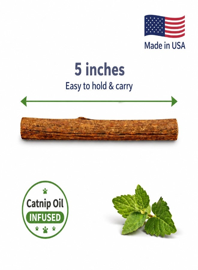 Silvervine Sticks for Cats with Catnip Oil (4 Pack) - Matatabi Cat Chew Stick Dental Toy for Teeth Cleaning - Natural Kitten Teething Chew Toys for Indoor Cats - Made in USA - Image 3