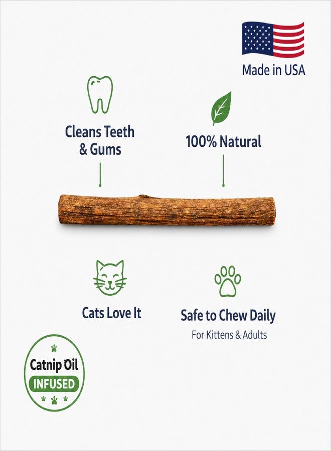 Silvervine Sticks for Cats with Catnip Oil (4 Pack) - Matatabi Cat Chew Stick Dental Toy for Teeth Cleaning - Natural Kitten Teething Chew Toys for Indoor Cats - Made in USA - Image 4