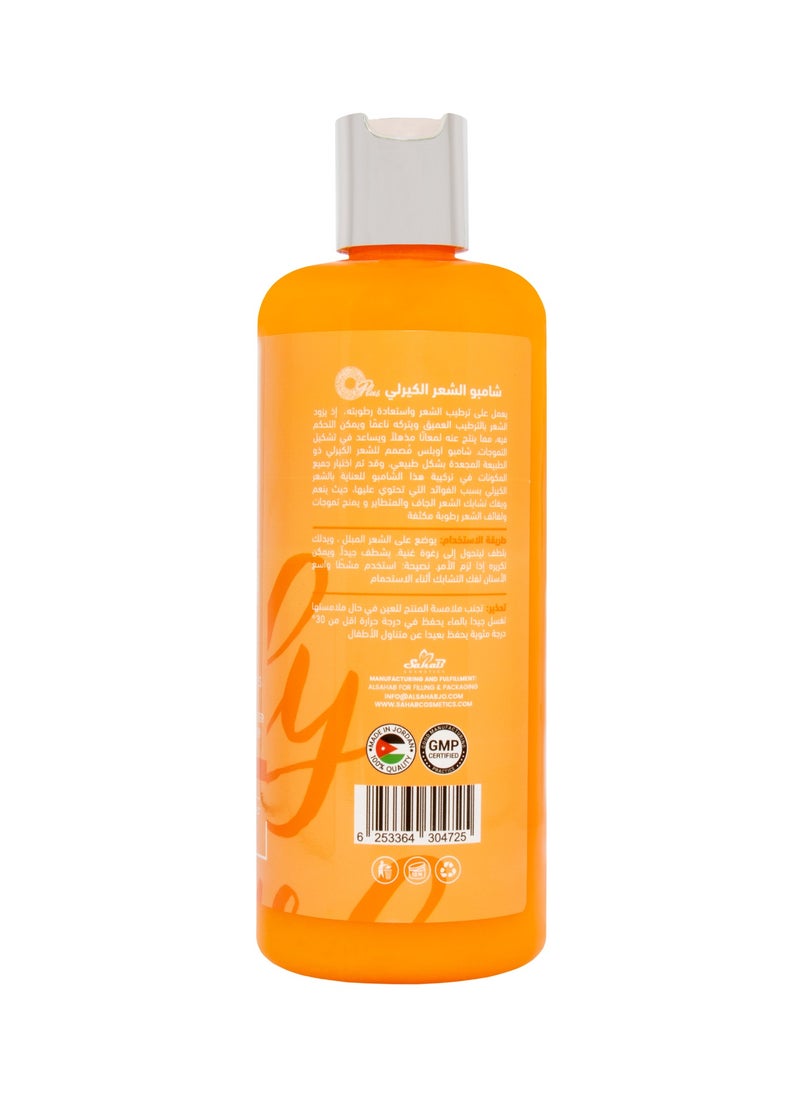 Oplus Detangling Shampoo for Natural Curls & Coils – Anti-Frizz, Moisturizing & Softening Formula, 500ml - pzsku/Z176066B065C1C6C4B742Z/45/_/1739453512/f546ed6b-3888-4310-832e-bdeb410096da