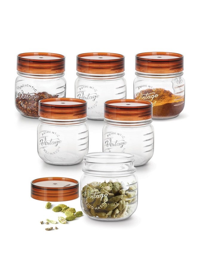 TREO تريو من ميلتون جرة زجاجية عتيقة مع غطاء محكم، حاويات تخزين للمطبخ، مجموعة من 6، خالية من BPA، منظم زجاجي للتخزين، دبا متعددة الاستخدامات للطعام، التوابل، الحبوب، البسكويت، الطعام الجاف، 300 مل لكل واحدة - Image 1