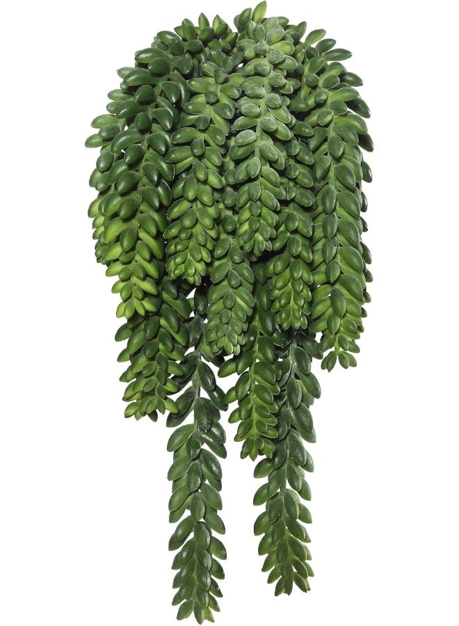 Vickerman 13" Plastic Artificial Green Donkey Tail Bush - Decorative Faux Spray of Durable Polyester - Faux Hanging Plant - Hanging Plant for Home or Office - Decorative Plants - Image 3